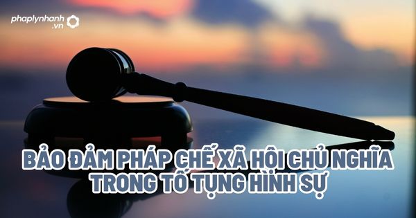 Bảo đảm pháp chế xã hội chủ nghĩa trong tố tụng hình sự? 1 Bảo đảm pháp chế xã hội chủ nghĩa trong tố tụng hình sự - Tư vấn, hỗ trợ pháp lý nhanh