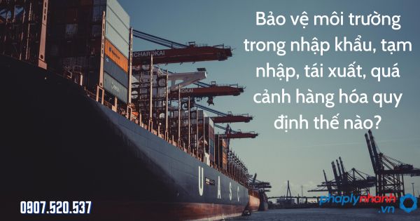 Bảo vệ môi trường trong nhập khẩu, tạm nhập, tái xuất, quá cảnh hàng hóa quy định thế nào? 1 Bảo vệ môi trường trong nhập khẩu, tạm nhập, tái xuất, quá cảnh hàng hóa - tư vấn hỗ trợ pháp lý nhanh