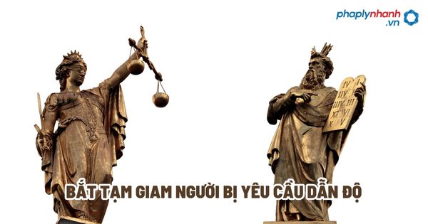 Bắt tạm giam người bị yêu cầu dẫn độ? 1 Bắt tạm giam người bị yêu cầu dẫn độ - Tư vấn, hỗ trợ pháp lý nhanh