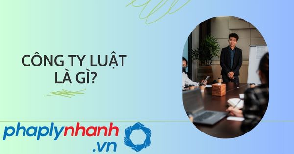 Công ty Luật là gì? Làm sao để chuyển đổi từ văn phòng luật sư thành công ty luật theo quy định của pháp luật? 7 CÔNG TY LUẬT LÀ GÌ