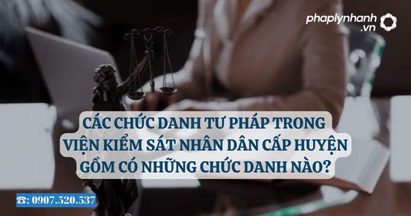 Các chức danh tư pháp trong Viện kiểm sát nhân dân cấp huyện gồm có những chức danh nào? 24 Các chức danh tư pháp trong Viện kiểm sát nhân dân cấp huyện gồm có những chức danh nào?