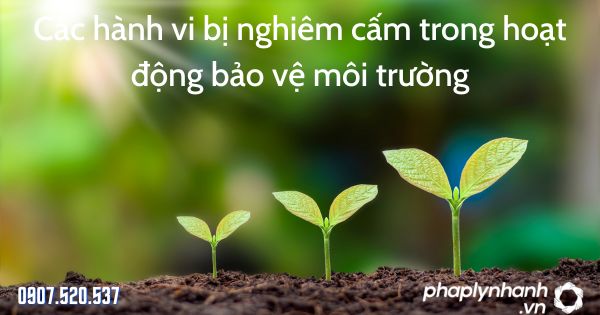 Các hành vi bị nghiêm cấm trong hoạt động bảo vệ môi trường của Luật bảo vệ môi trường 2020 1 Các hành vi bị nghiêm cấm trong hoạt động bảo vệ môi trường - tư vấn hỗ trợ pháp lý nhanh