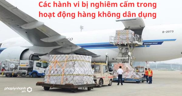 Các hành vi bị nghiêm cấm trong hoạt động hàng không dân dụng 3 Các hành vi bị nghiêm cấm trong hoạt động hàng không dân dụng