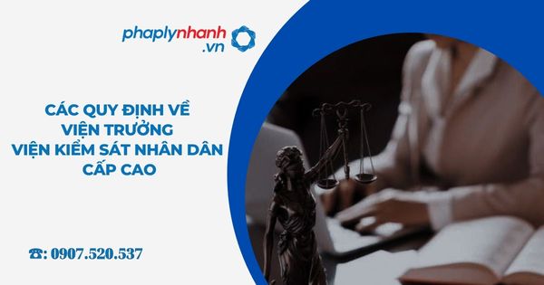 Các quy định về Viện trưởng Viện kiểm sát nhân dân cấp cao 1 Các quy định về Viện trưởng Viện kiểm sát nhân dân cấp cao - Tư vấn, hỗ trợ pháp lý nhanh