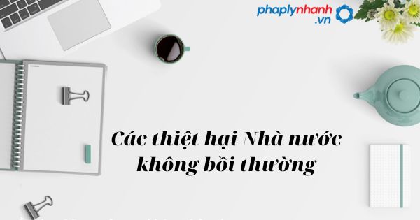 Các thiệt hại Nhà nước không bồi thường trong trách nhiệm bồi thường nhà nước như thế nào? 1 Các thiệt hại Nhà nước không bồi thường - hỗ trợ, tư vấn pháp lý nhanh
