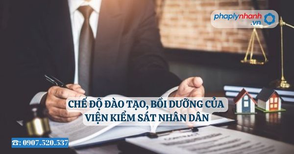 Chế độ đào tạo, bồi dưỡng của Viện kiểm sát nhân dân 8 Chế độ đào tạo, bồi dưỡng của Viện kiểm sát nhân dân - Tư vấn, hỗ trợ pháp lý nhanh