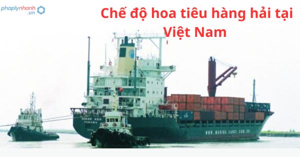 Chế độ hoa tiêu hàng hải tại Việt Nam