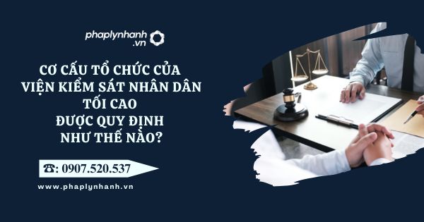 Cơ cấu tổ chức của Viện kiểm sát nhân dân tối cao được quy định như thế nào? 13 Viện kiểm sát nhân dân tối cao - Tư vấn, hỗ trợ pháp lý nhanh