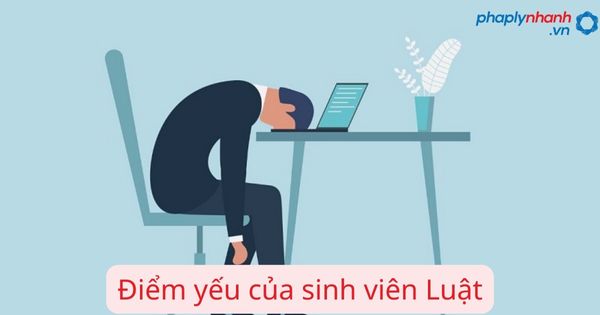 Điểm yếu của sinh viên Luật