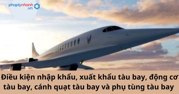 Quy định về điều kiện nhập khẩu, xuất khẩu tàu bay, động cơ tàu bay, cánh quạt tàu bay và phụ tùng tàu bay 1 Quy định về điều kiện nhập khẩu, xuất khẩu tàu bay, động cơ tàu bay, cánh quạt tàu bay và phụ tùng tàu bay