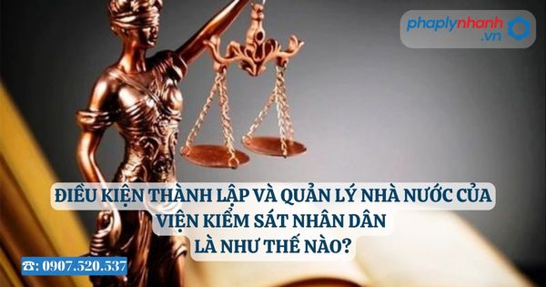 Điều kiện thành lập và quản lý nhà nước của Viện kiểm sát nhân dân là như thế nào? 12 Điều kiện thành lập và quản lý nhà nước của Viện kiểm sát nhân dân là như thế nào - Tư vấn, hỗ trợ pháp lý nhanh