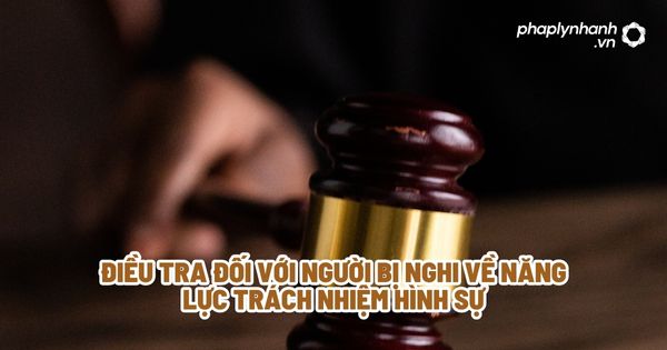 Điều tra đối với người bị nghi về năng lực trách nhiệm hình sự? 1 Điều tra đối với người bị nghi về năng lực trách nhiệm hình sự - Tư vấn, hỗ trợ pháp lý nhanh