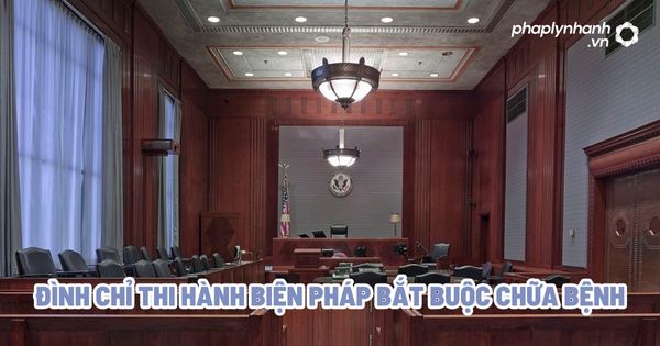 Đình chỉ thi hành biện pháp bắt buộc chữa bệnh - Tư vấn, hỗ trợ pháp lý nhanh