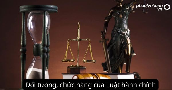 Luật hành chính là gì? Đối tượng, chức năng của luật hành chính 2 Đối tượng, chức năng của Luật hành chính