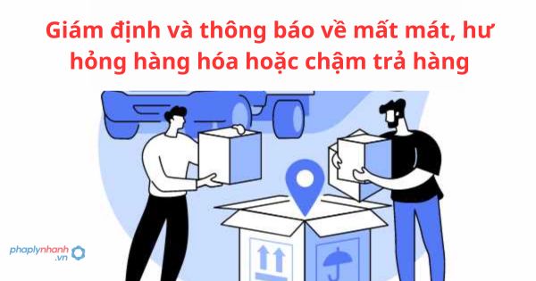 Giám định và thông báo về mất mát, hư hỏng hàng hóa hoặc chậm trả hàng 1 Giám định và thông báo về mất mát, hư hỏng hàng hóa hoặc chậm trả hàng