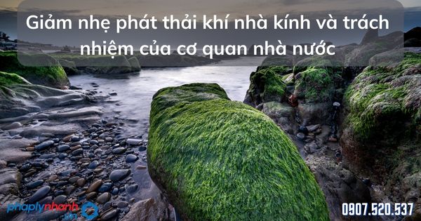 Giảm nhẹ phát thải khí nhà kính và trách nhiệm của cơ quan nhà nước 1 Giảm nhẹ phát thải khí nhà kính và trách nhiệm của cơ quan nhà nước - tư vấn hỗ trợ pháp lý nhanh