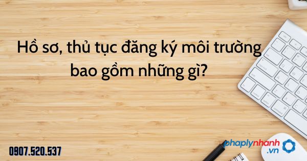 Hồ sơ, thủ tục đăng ký môi trường bao gồm những gì? 17 Hồ sơ, thủ tục đăng ký môi trường bao gồm những gì - tư vấn hỗ trợ pháp lý nhanh