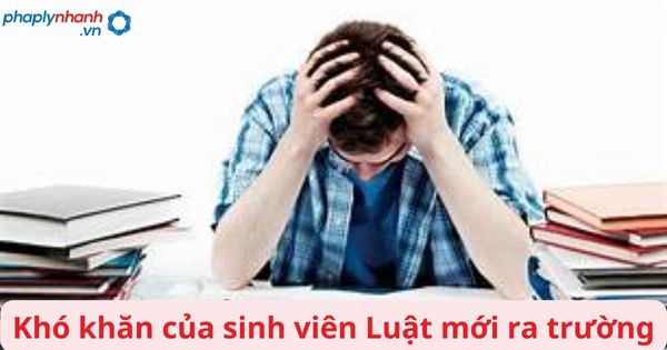 Những khó khăn sinh viên Luật mới ra trường thường gặp phải 1 Khó khăn của sinh viên Luật mới ra trường