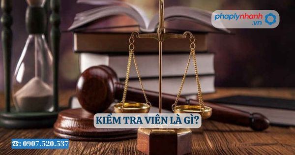 Kiểm tra viên là gì? 1 Kiểm tra viên là gì - Tư vấn, hỗ trợ pháp lý nhanh