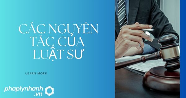 Các nguyên tắc nghề Luật sư cần biết năm 2023 18 CÁC NGUYÊN TẮC NGHỀ LUẬT SƯ - PHAPLYNHANH.VN