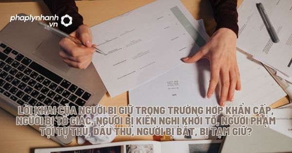 Lời khai của người bị giữ trong trường hợp khẩn cấp, người bị tố giác, người bị kiến nghị khởi tố, người phạm tội tự thú, đầu thú, người bị bắt, bị tạm giữ? 1 Lời khai của người bị giữ trong trường hợp khẩn cấp, người bị tố giác, người bị kiến nghị khởi tố, người phạm tội tự thú, đầu thú, người bị bắt, bị tạm giữ - Tư vấn, hỗ trợ pháp lý nhanh