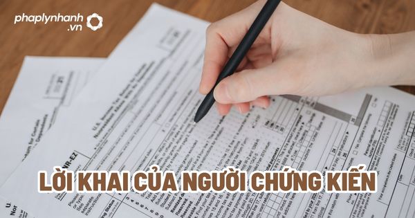 Lời khai của người chứng kiến? 1 Lời khai của người chứng kiến - Tư vấn, hỗ trợ pháp lý nhanh