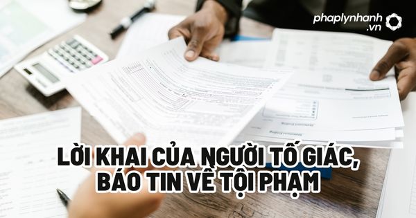 Lời khai của người tố giác, báo tin về tội phạm? 1 Lời khai của người tố giác, báo tin về tội phạm - Tư vấn, hỗ trợ pháp lý nhanh
