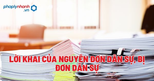 Lời khai của nguyên đơn dân sự, bị đơn dân sự - Tư vấn, hỗ trợ pháp lý nhanh