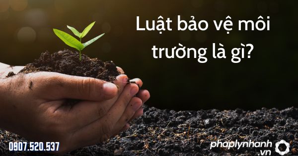 Luật bảo vệ môi trường là gì? 1 Luật bảo vệ môi trường là gì - tư vấn hỗ trợ pháp lý nhanh