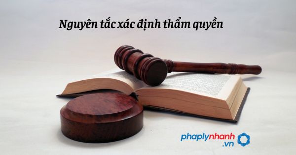 Nguyên tắc xác định thẩm quyền như thế nào? 1 NGUYÊN TẮC XÁC ĐỊNH THẨM QUYỀN VỀ QUẢN LÝ NHÀ NƯỚC TRONG CÁC LĨNH VỰC - HỖ TRỢ, TƯ VẤN PHÁP LÝ NHANH