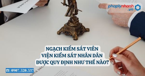 Ngạch Kiểm sát viên Viện kiểm sát nhân dân được quy định như thế nào? 27 Viện kiểm sát nhân dân - Tư vấn, hỗ trợ pháp lý nhanh