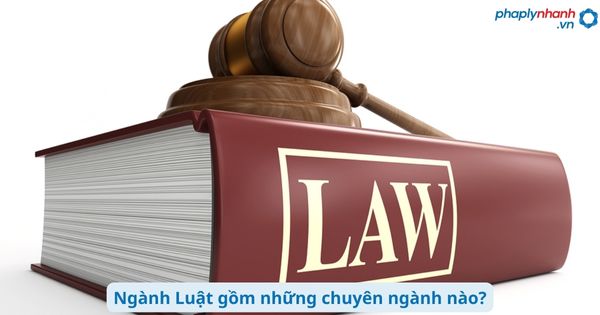 Ngành Luật gồm những chuyên ngành nào? 1 Ngành Luật gồm những chuyên ngành nào