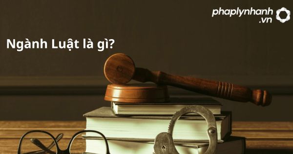 Ngành Luật là gì? Nên học Luật trường nào? 1 Ngành Luật là gì?