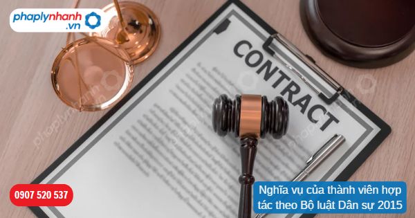 Nghĩa vụ của thành viên hợp tác theo Bộ luật Dân sự 2015 1 Nghĩa vụ của thành viên hợp tác theo Bộ luật Dân sự 2015-Hỗ trợ, tư vấn pháp lý nhanh