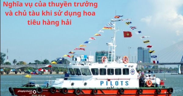 Nghĩa vụ của thuyền trưởng và chủ tàu khi sử dụng hoa tiêu hàng hải
