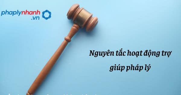 Nguyên tắc hoạt động trợ giúp pháp lý như thế nào? 1 Nguyên tắc hoạt động trợ giúp pháp lý - hỗ trợ, tư vấn pháp lý nhanh