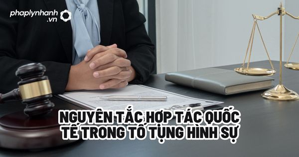 Nguyên tắc hợp tác quốc tế trong tố tụng hình sự? 1 Nguyên tắc hợp tác quốc tế trong tố tụng hình sự - Tư vấn, hỗ trợ pháp lý nhanh