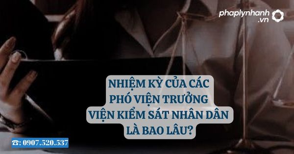 Nhiệm kỳ của các Phó Viện trưởng Viện kiểm sát nhân dân là bao lâu? 4 Phó Viện trưởng Viện kiểm sát nhân dân - Tư vấn, hỗ trợ pháp lý nhanh