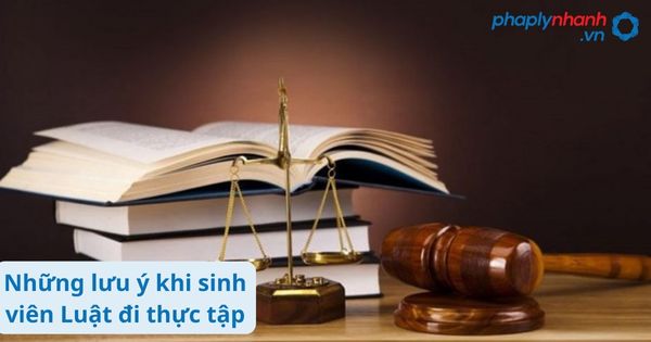 Những lưu ý khi sinh viên Luật đi thực tập 1 Những lưu ý khi sinh viên Luật đi thực tập