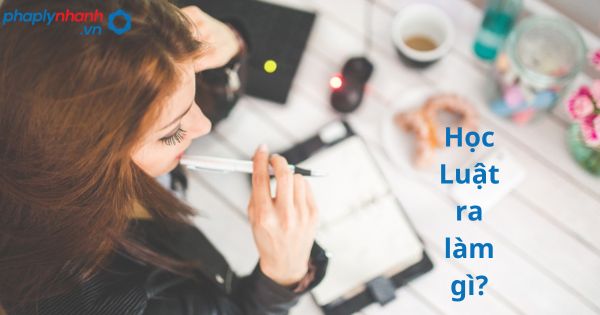 Những ngành nghề nào sinh viên Luật có thể lựa chọn sau khi ra trường? 17 Những ngành nghề nào sinh viên Luật có thể lựa chọn sau khi ra trường?