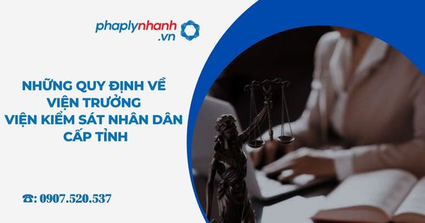 Những quy định về Viện trưởng Viện kiểm sát nhân dân cấp tỉnh 17 Những quy định về Viện trưởng Viện kiểm sát nhân dân cấp tỉnh - Tư vấn, hỗ trợ pháp lý nhanh