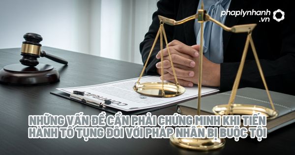 Những vấn đề cần phải chứng minh khi tiến hành tố tụng đối với pháp nhân bị buộc tội - Tư vấn, hỗ trợ pháp lý nhanh