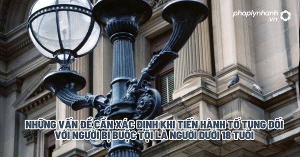 Những vấn đề cần xác định khi tiến hành tố tụng đối với người bị buộc tội là người dưới 18 tuổi? 1 Những vấn đề cần xác định khi tiến hành tố tụng đối với người bị buộc tội là người dưới 18 tuổi - Tư vấn, hỗ trợ pháp lý nhanh