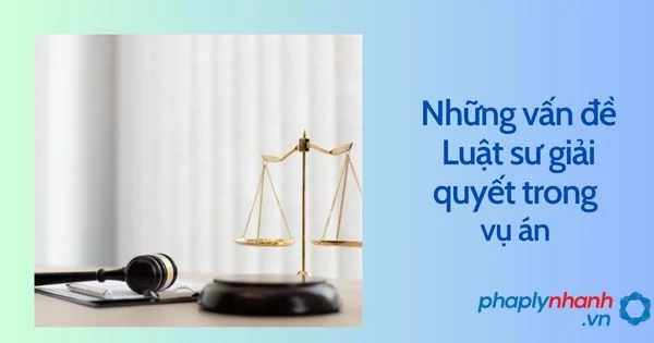 Luật sư giải quyết các vấn đề gì trong vụ án hình sự? 10 Luật sư giải quyết các vấn đề gì trong vụ án hình sự