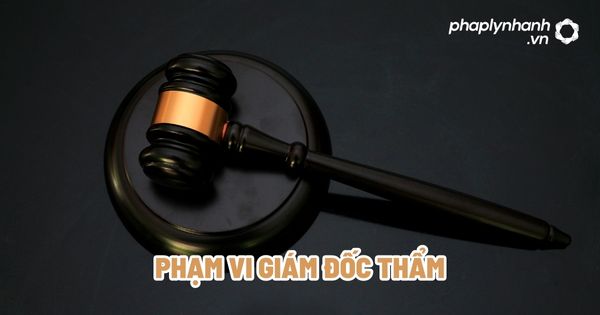 Phạm vi giám đốc thẩm? 1 Phạm vi giám đốc thẩm - Tư vấn, hỗ trợ pháp lý nhanh