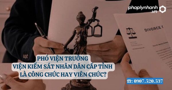Phó Viện trưởng Viện kiểm sát nhân dân cấp tỉnh là công chức hay viên chức? 1 Phó Viện trưởng Viện kiểm sát nhân dân cấp tỉnh là công chức hay viên chức - Tư vấn, hỗ trợ pháp lý nhanh