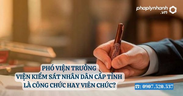 Phó Viện trưởng Viện kiểm sát nhân dân cấp tỉnh là công chức hay viên chức? 2 Phó Viện trưởng Viện kiểm sát nhân dân cấp tỉnh là công chức hay viên chức - Tư vấn, hỗ trợ pháp lý nhanh