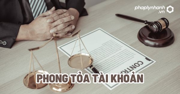 Phong tỏa tài khoản áp dụng đối với pháp nhân? 1 Phong tỏa tài khoản - Tư vấn, hỗ trợ pháp lý nhanh