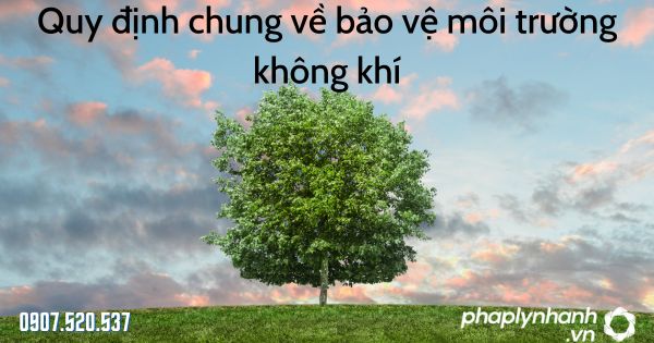 Quy định chung về bảo vệ môi trường không khí theo Luật bảo vệ môi trường 2020 1 Quy định chung về bảo vệ môi trường không khí - tư vấn hỗ trợ pháp lý nhanh