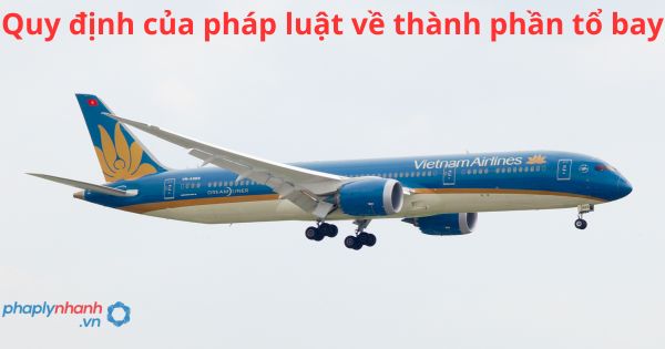 Quy định của pháp luật về thành phần tổ bay 17 Quy định của pháp luật về thành phần tổ bay